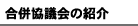 c̏Љ