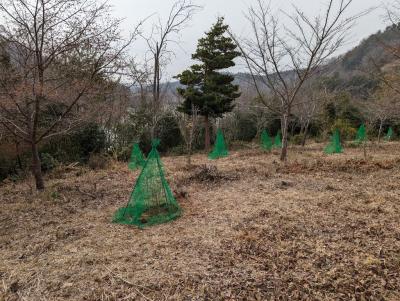 会場６