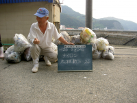 回収状況２