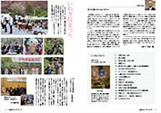 広報かみじま5月号町長の独白・いわぎ桜まつり