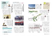 かみじま