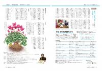 かみじま