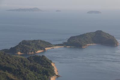 津波島　全景
