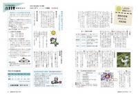 かみじま