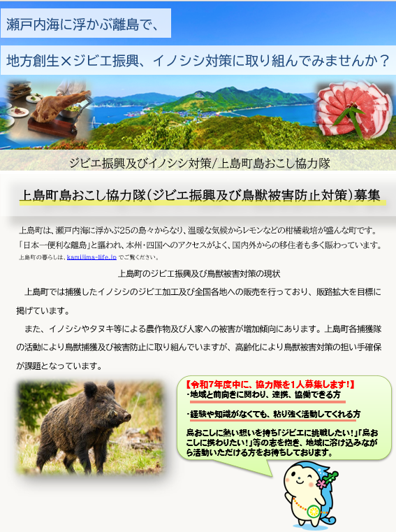 上島町島おこし協力隊募集